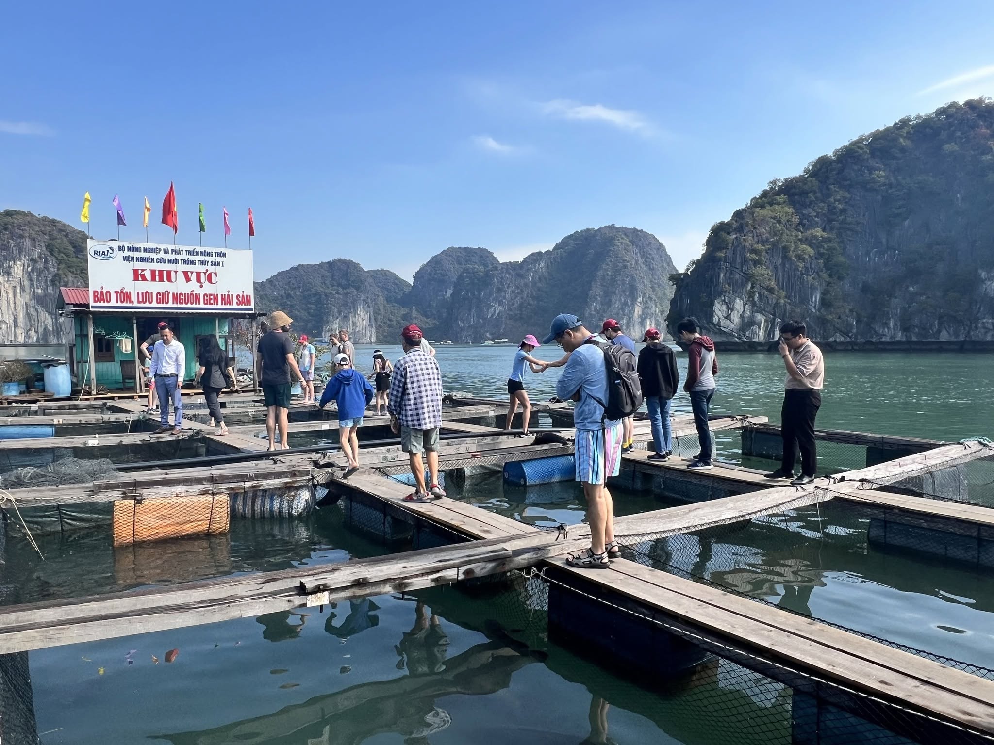 DISCOVER LAN HA BAY IN WINTER